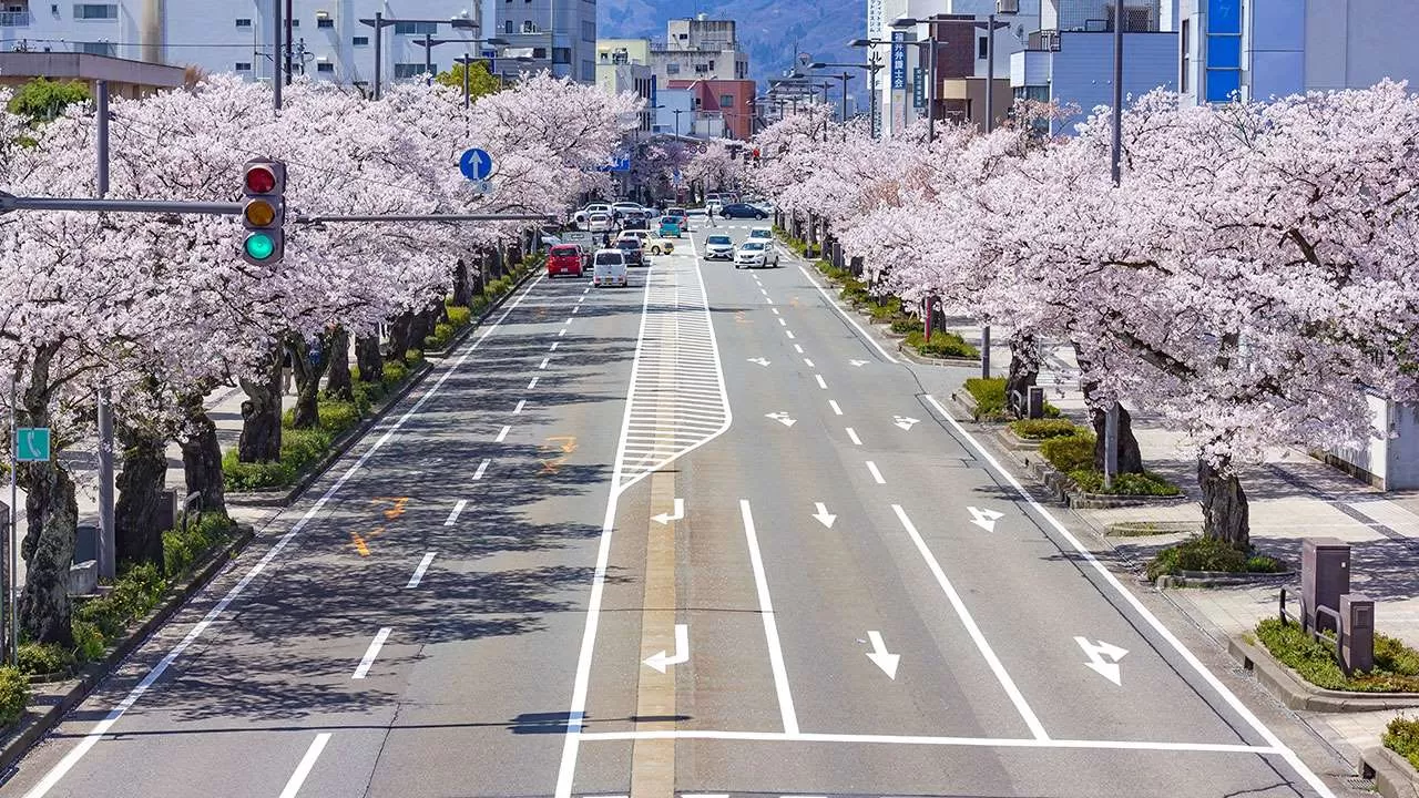Идеальные японские дороги