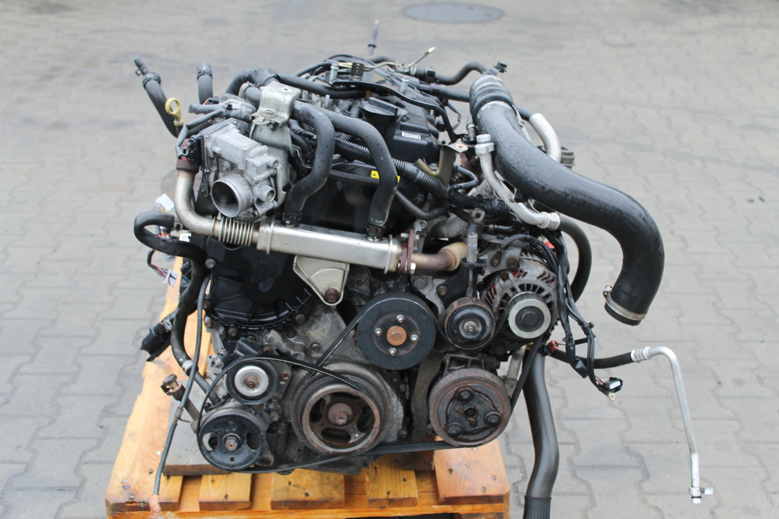 Двигатель 2.5 лс. Двигатель Nissan Pathfinder 2.5 дизель. Yd25ddti двигатель. Двигатель Ниссан yd25ddti. Yd25ddti Nissan Pathfinder.